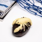 Фигурка полистоун «Рак на камне», 10×6×5 см - Фото 4