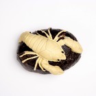 Фигурка полистоун «Рак на камне», 10×6×5 см - Фото 5