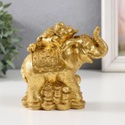 Нэцке золото полистоун "Жаба на слоне с монетами" 12х6,8х11,2 см - Фото 1