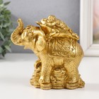 Нэцке золото полистоун "Жаба на слоне с монетами" 12х6,8х11,2 см - Фото 4