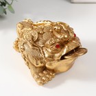 Нэцке золото полистоун "Золотая жаба с монетой" 15,7х12х9,5 см - фото 8101661