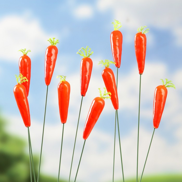 Набор штекеров "Морковка" 10шт, 3см, длина 25см - фото 1909402410