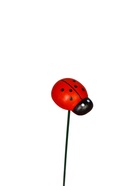 Штекер садовый «Божья коровка дарли», 2.5 см, h=25 см, набор 10 шт. - Фото 5