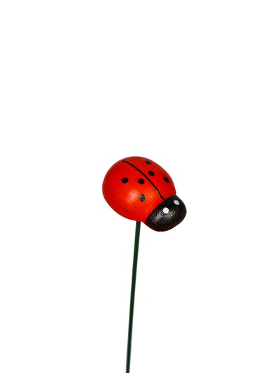 Штекер садовый «Божья коровка дарли», 2.5 см, h=25 см, набор 10 шт.
