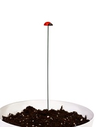 Штекер садовый «Божья коровка дарли», 2.5 см, h=25 см, набор 10 шт. - Фото 7