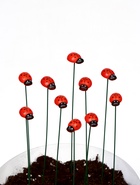 Штекер садовый «Божья коровка дарли», 2.5 см, h=25 см, набор 10 шт. - Фото 8