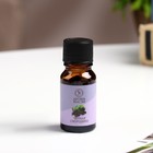 Эфирное масло «Чёрная смородина», 10 мл, Богатство Аромата - Фото 2