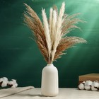 Ваза «Ингер», 14×8 см, керамика, белая - Фото 3