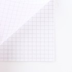 Блокнот А6, 12 листов, в клетку «Собаки» - фото 23277458