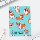 Блокнот А6, 12 листов, в клетку "Корги" - фото 24400356