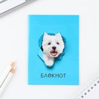 МИКС блокнотов в клетку А6, 12 листов «Звери» (комплект 4 шт) - фото 23277491