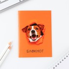 МИКС блокнотов в клетку А6, 12 листов «Звери» (комплект 4 шт) - фото 23277496