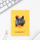 МИКС блокнотов в клетку А6, 12 листов «Звери» (комплект 4 шт) - фото 23277481