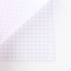 МИКС Блокнотов А6, 24 листа, в клетку «Фразы» (комплект 4 шт) - фото 23277585