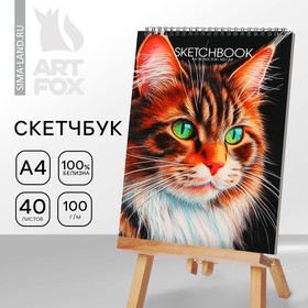Скетчбук А4, 40 л. 100 г/м «Кот»