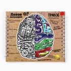 Двойной блокнот на гребне, мягкая обложка, размер 15х12см, 48 л «Левое, правое » - фото 24074222