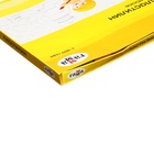 УЦЕНКА Пластилин 24 цвета 336 г, Гамма «Юный художник», со стеком, картонная упаковка 10221765