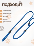 Ринговка для собак, 130×0.8 см, синяя - Фото 2