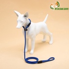 Ринговка для собак, 130×0.8 см, синяя - Фото 4