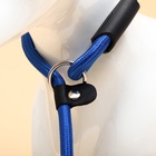 Ринговка для собак, 130×0.8 см, синяя - Фото 5