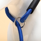 Ринговка для собак, 130×0.8 см, синяя - Фото 6