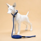 Ринговка для собак, 130×0.8 см, синяя - Фото 7