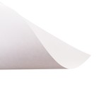 Бумага для пастели А3, 10 листов "Лиса", блок 160г/м2, в папке - фото 8180326