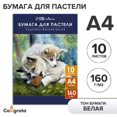 Бумага для пастели А4, 10 листов "Щенки", блок 160 г/м2, в папке