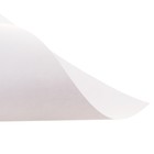Бумага для пастели А4, 10 листов "Щенки", блок 160 г/м2, в папке - Фото 5
