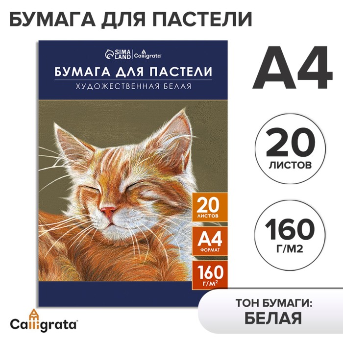 Бумага для пастели А4, 20 листов "Кот", блок 160 г/м2, в папке - Фото 1