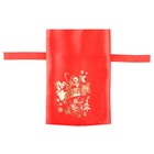 Мешок "Подарок от Деда Мороза", атлас, с завязками, красный, 20х30 см - Фото 2