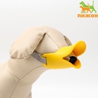 Намордник силиконовый фиксирующий, размер M (ОМ 15 см, ОШ 18-30 см), жёлтый - Фото 6