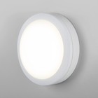 Светильник настенно-потолочный Elektrostandard, Circle LED 15 Вт, 170x170x60 мм, IP65, цвет белый - фото 4153442