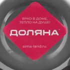 Миска Доляна, 650 мл, d=16.5 см, толщина 0.3 мм, нержавеющая сталь, хромированная - Фото 4