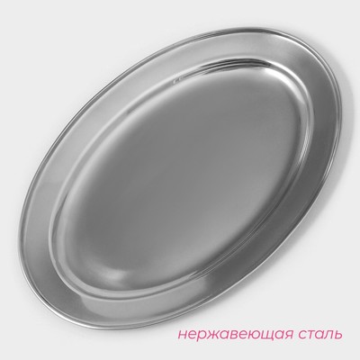 Поднос овальный из нержавеющей стали Доляна, 30×20 см, серебристый