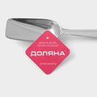 Совок для льда Доляна, h=22.5 см, нержавеющая сталь, хромированный - Фото 4