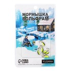 Мормышка Столбик чёрный, лайм брюшко + шар серебро, вес 0.5 г - Фото 3