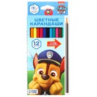 Цветные карандаши, 12 цветов, трехгранные, Щенячий патруль - Фото 7