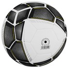 Мяч футбольный MINSA, микрофибра, машинная сшивка, 32 панели, р. 5 - фото 8079125