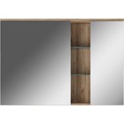 Зеркало шкаф для ванной комнаты «Домино» Fortuna 100, левый, 1000×700 мм - Фото 2