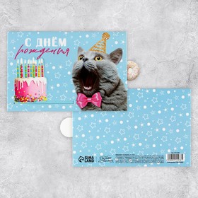 Интерактивная поздравительная открытка «С Днём рождения», кот, 16 х 11 см