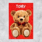 Объёмная открытка «Медведь», 12 х 18 см - Фото 6
