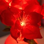 Ночник «Пуансеттия» 9хLED 4000К красный 15×15×40 см RISALUX - Фото 4