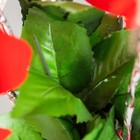 Ночник «Пуансеттия» 9хLED 4000К красный 15×15×40 см RISALUX - Фото 5