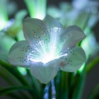 Ночник "Крокус" 9хLED 4000К белый 15х15х40см RISALUX - Фото 4