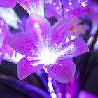 Ночник "Крокус" 9хLED 4000К розовый 15х15х40см RISALUX - фото 23284087