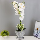 Ночник "Орхидея" 18хLED 4000К белый 20х20х60см RISALUX - фото 2155802