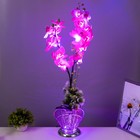 Ночник "Орхидея" 18хLED 4000К розовый 20х20х60см RISALUX - Фото 2