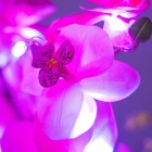 Ночник "Орхидея" 18хLED 4000К розовый 20х20х60см RISALUX - Фото 4
