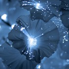 Ночник «Кальмия» 56хLED 4000К белый 25×25×80 см RISALUX - Фото 4